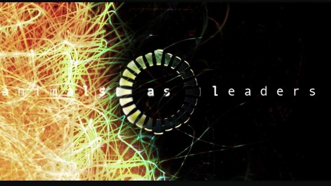 如何看待Ollama基于Go语言开发而不是别的编程语言？